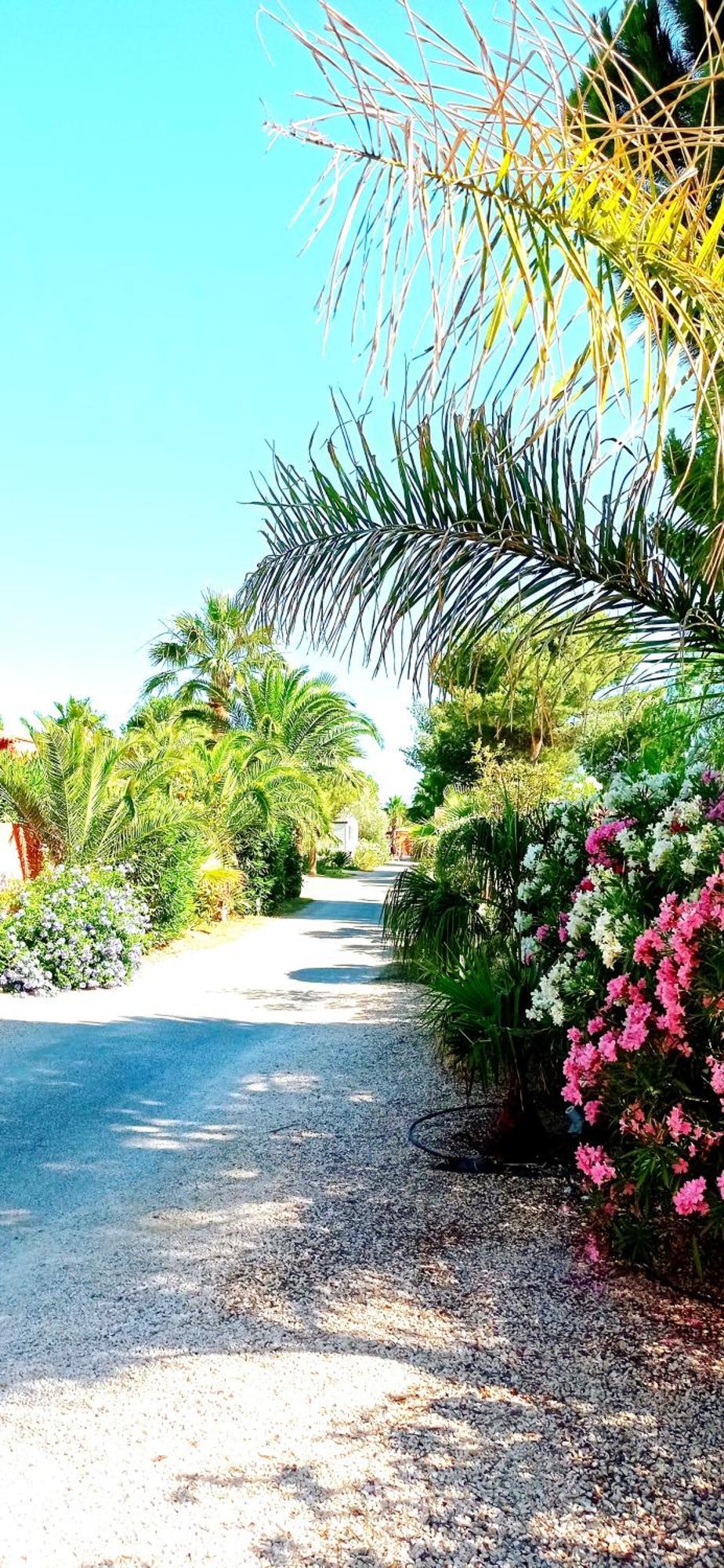 Happymobilhome Argeles-Sur-Mer -Plage A 500M- Camping 4 Etoiles Del Mar Exterior photo